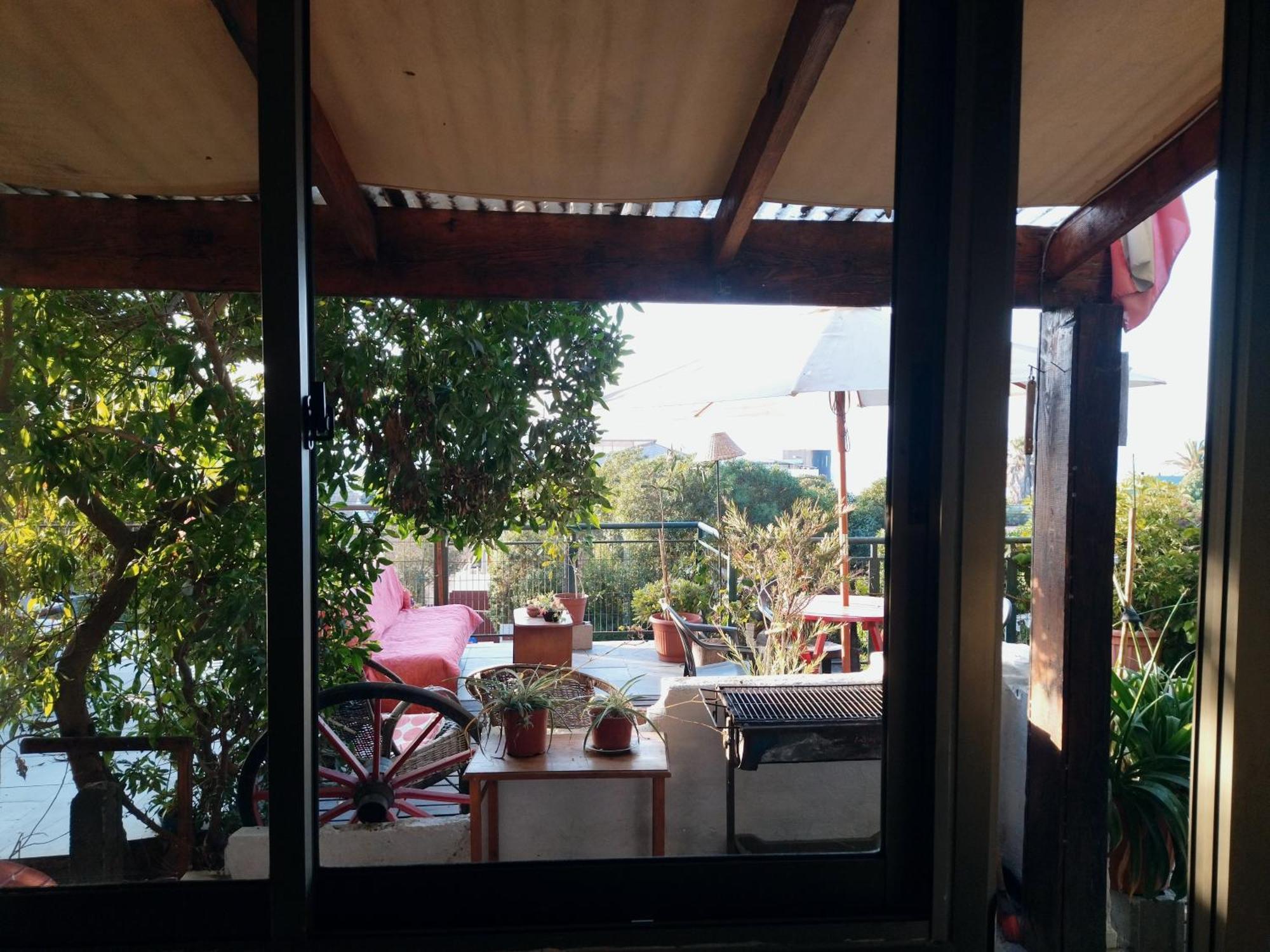 Cabanas El Bosque Maitencillo  Εξωτερικό φωτογραφία