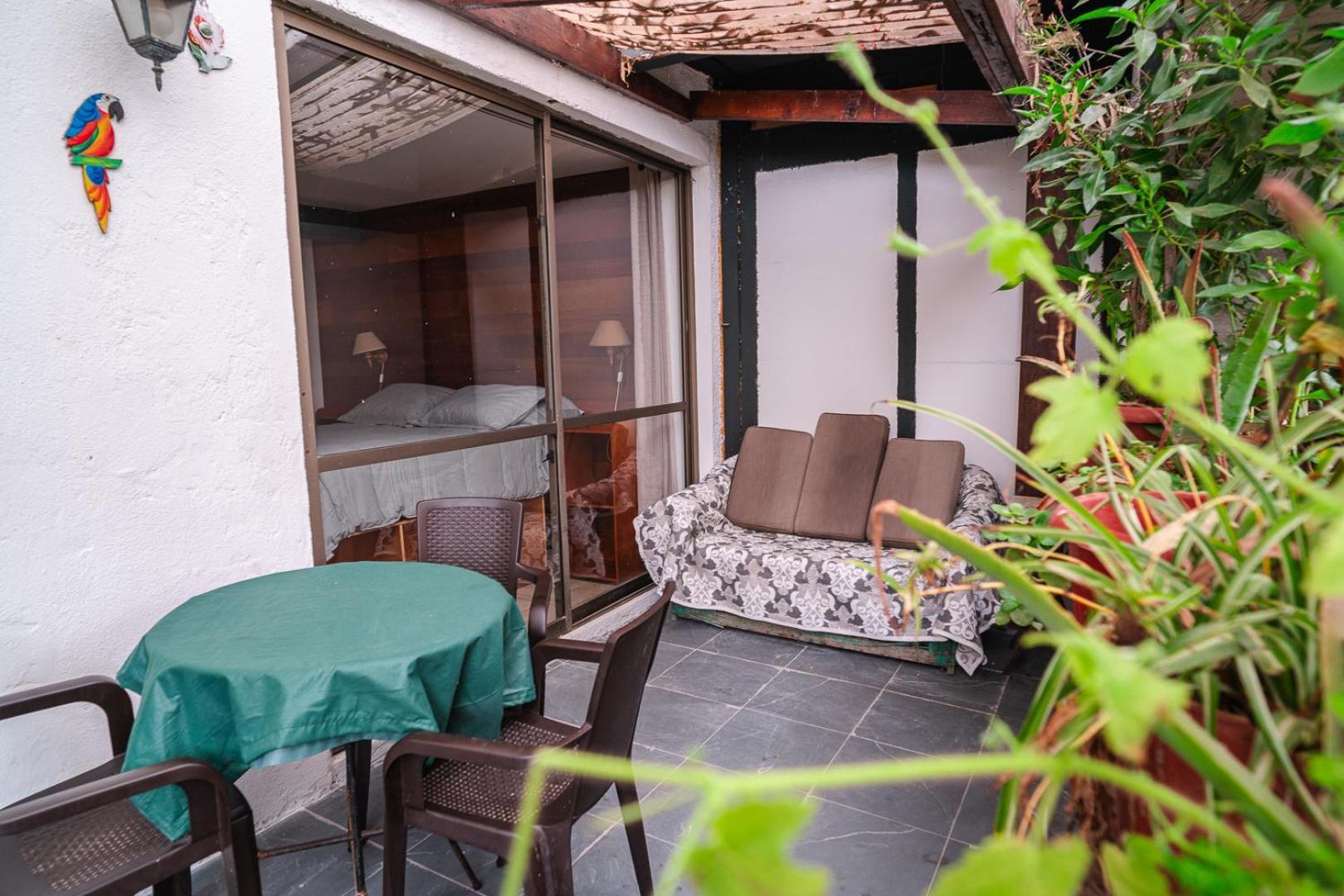 Cabanas El Bosque Maitencillo  Εξωτερικό φωτογραφία